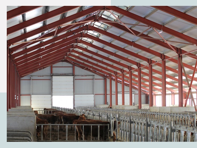 Строительство коровников в Тихвине