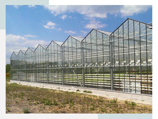 Строительство теплиц в Тихвин от 656 руб. за м²