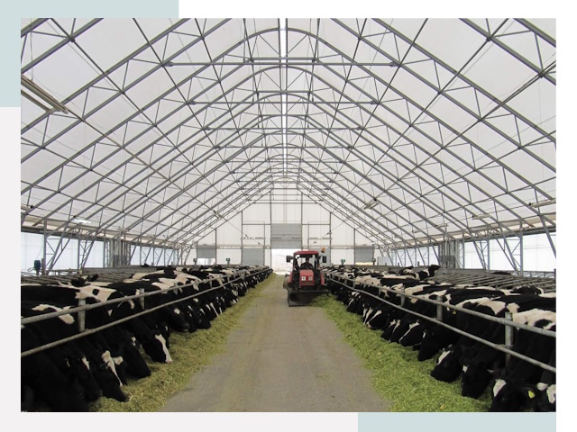 Тентовые коровники в Тихвине от 656 руб. - Надежно и доступно