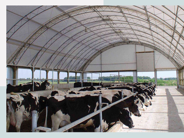 Тентовые коровники в Тихвине